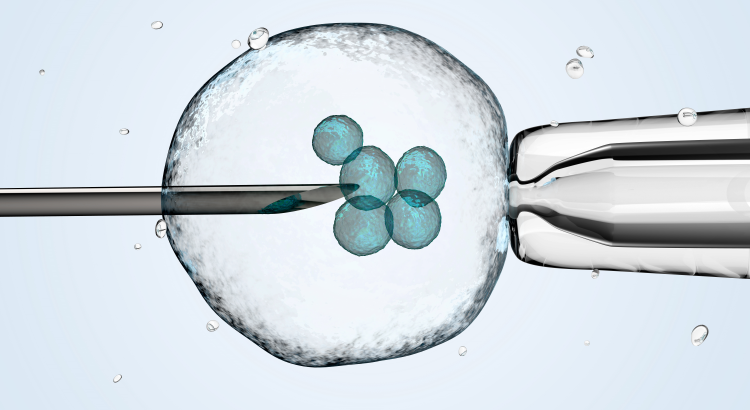 Who would be held responsible for Mishaps Occurring during IVF Treatment? 